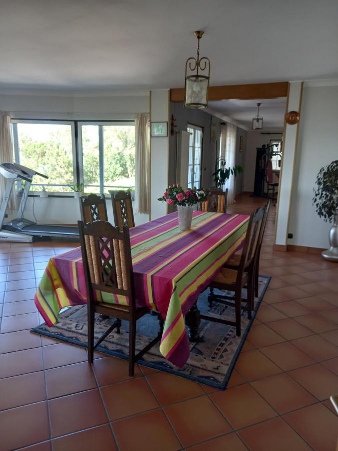 Casa Da Bela Vista Villa Viana do Castelo Dış mekan fotoğraf
